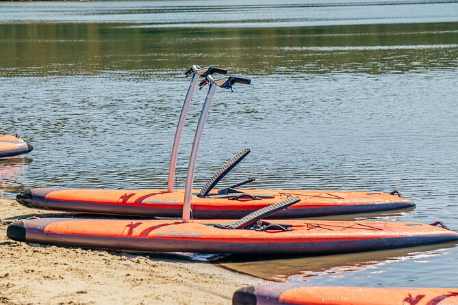 Guided Step-Up Paddle Board Tour of Narrabeen Lagoon - Weather and Cancellation Policy