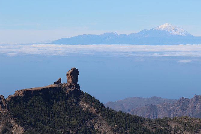 Guided Tour: Discover Gran Canaria - Common questions