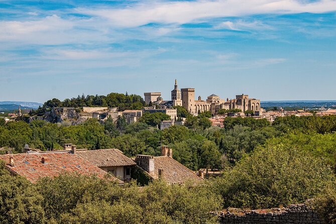 Guided Tour of Avignon - Weather Considerations