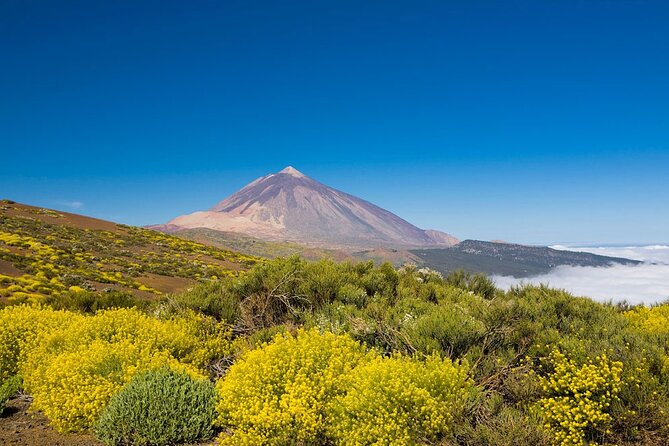 Guided Tour to Teide National Park in Tenerife - Pricing and Policies