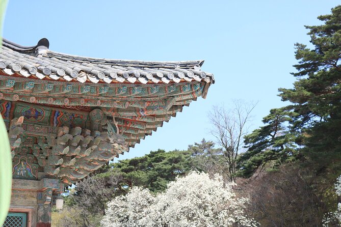 Gyeongju the UNESCO Sites Tour for Small Group - Cancellation Policy and Support