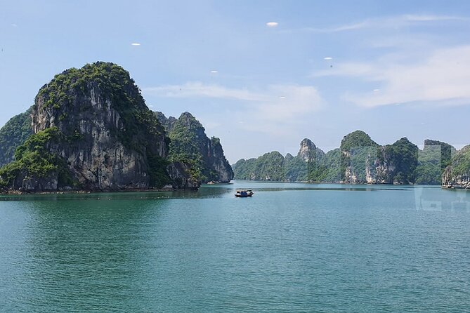 Ha Long Bay Cruise Day Tour - Cave, Kayaking, Swimming & Lunch - Enjoying a Delicious Lunch