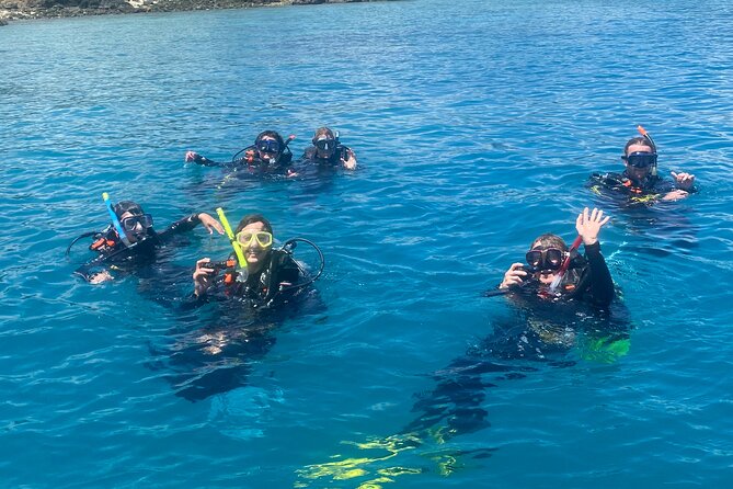 Half-Day Airlie Beach Scuba Diving Tour - Expectations and Requirements