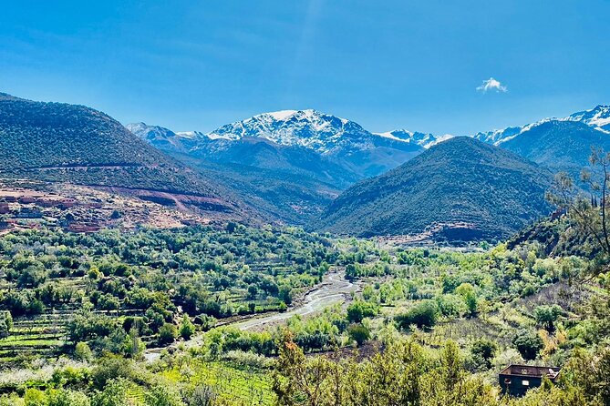 Half-Day Atlas Mountains Tour From Marrakesh - Overall Experience