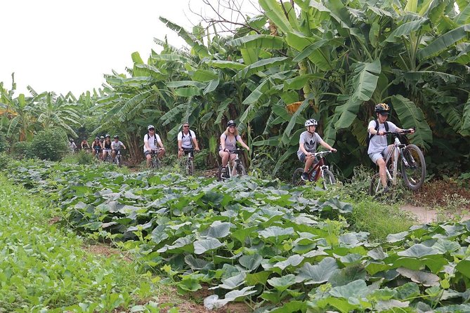 Half-Day Bicycle Tour of Hanoi City & Countryside Train Street - Booking Information