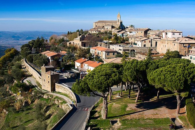 Half-Day Brunello Di Montalcino Wine Tour From Siena - Providers Response