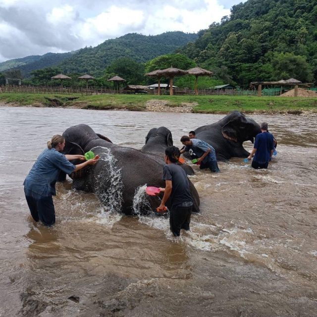 Half Day Elephant Care - Activity Itinerary