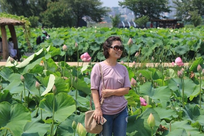 Half-Day Excursión Lotus Flowers and Local Foods From Busan - Cancellation and Refund Policy