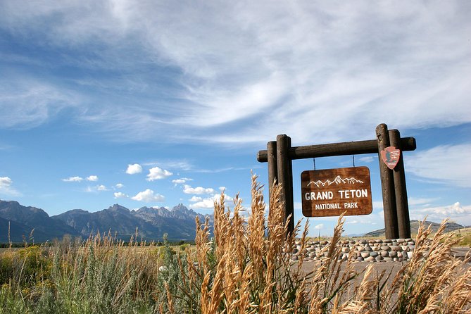 Half-Day Grand Teton Wildlife Safari Private Tour - Wildlife Sightings and Experiences