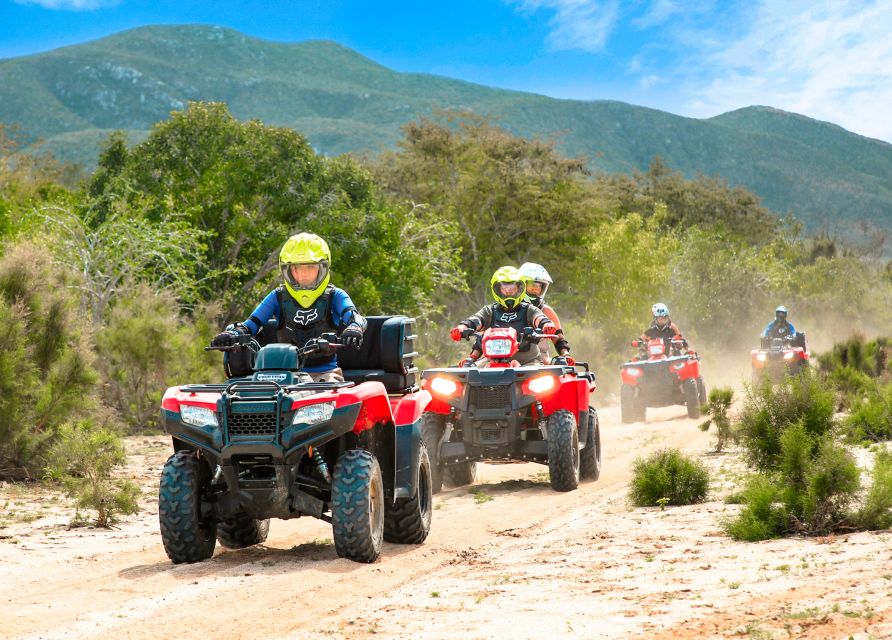 Half-Day Guided ATV Tour at Migriño Area - Common questions