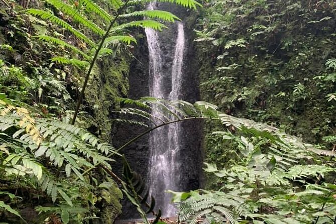 Half-Day Guided Hike to Afareaitu Waterfall - Directions