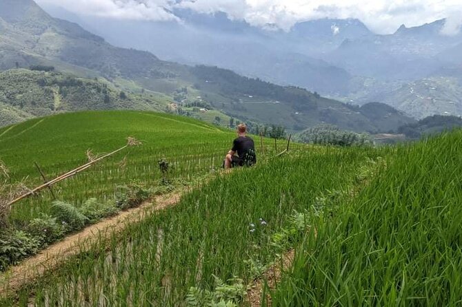 Half-Day Hometrek From Sapa With Hmong Sister House - Pricing Details