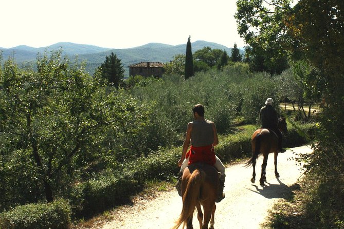 Half-Day Horseback Ride in Tuscany for Beginner Riders - Weight Limit