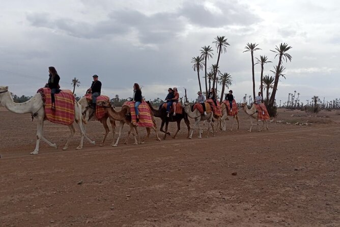 Half Day In Marrakech Desert Tour: Quad and Camel Ride - Last Words