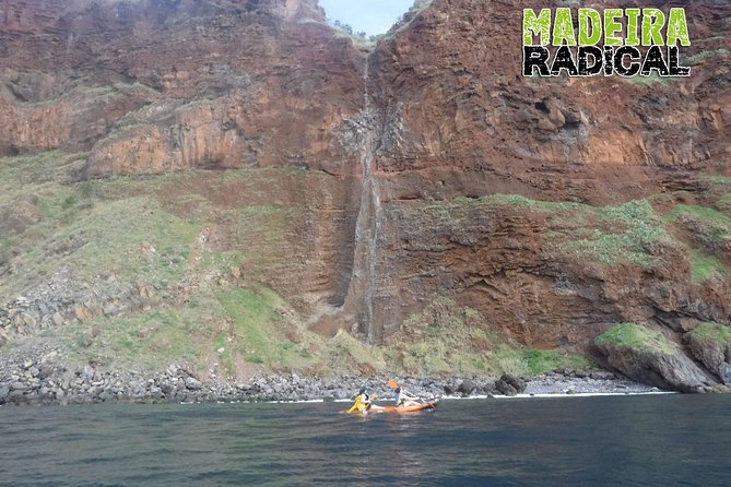 Half Day Kayak Tours - Traveler Requirements