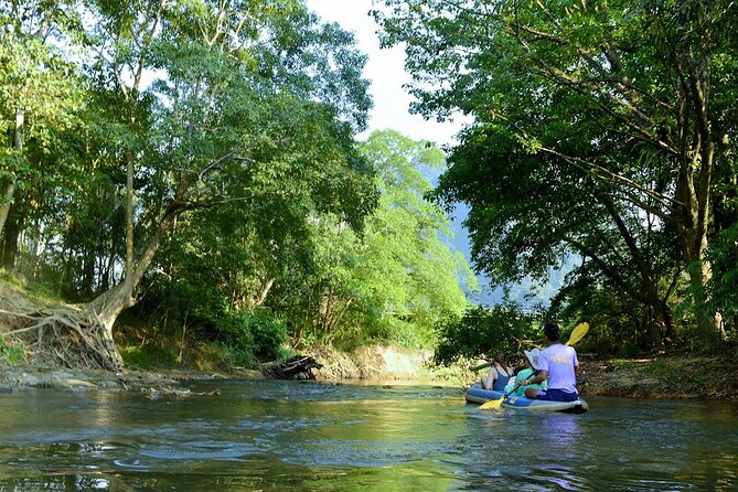 Half Day Khao Sok River Tour By Canoe From Khao Lak - Local Wildlife Encounters