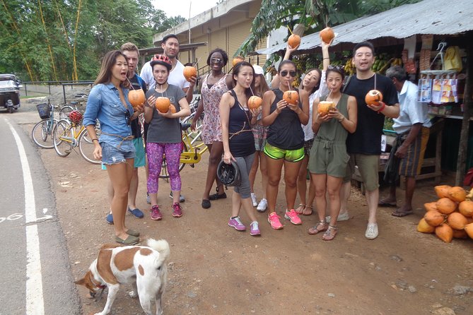 Half-Day Lagoon and Village Cycling Tour in Galle - Reviews, Pricing, and Source