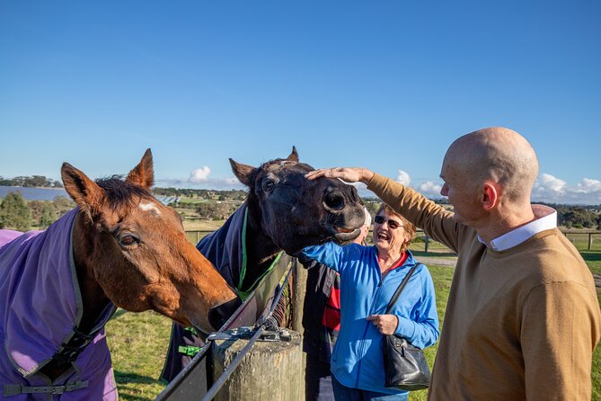 Half-Day Melbourne Racehorse Encounter - Background