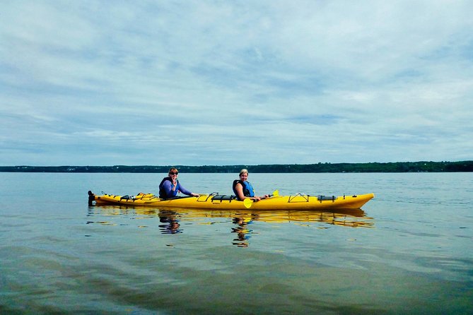 Half-Day Orleans Island Small-Group Sea Kayaking Tour - Customer Reviews