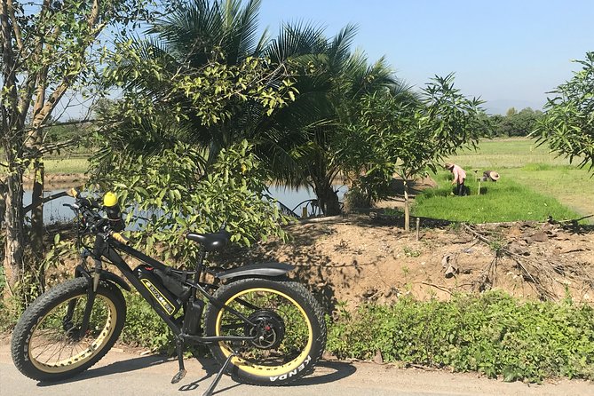 Half-Day Ping River and Rice Paddies E-Bike Adventure (Flat Land, Guided) - Pricing and Availability