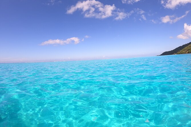 Half-Day Private Lagoon Tour by Boat in French Polynesia - Booking Information