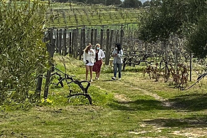 Half Day Semi-Private Wine Tour of 2 Wineries With Wine Tastings - Booking Information