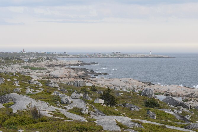 Half Day Small Group Tour in Peggys Cove and Titanic Cemetery - Support and Assistance