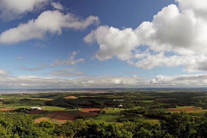 Half-Day Small-Group Tour of Annapolis Valley - Viator Information