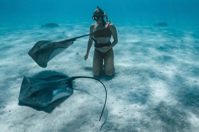 Half Day Snorkeling in Moorea - Health and Safety Considerations