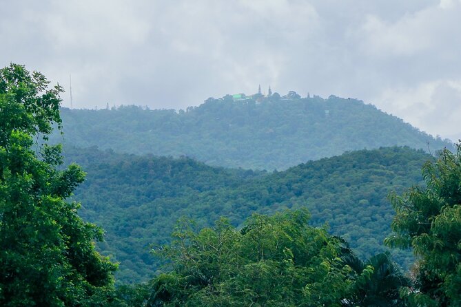 Half-Day Thai CookingClass at A Roi Dee Organic Farm in ChiangMai - Reviews and Feedback