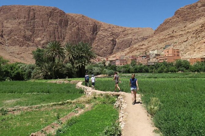 Half-Day Todra Gorges Hike - Common questions