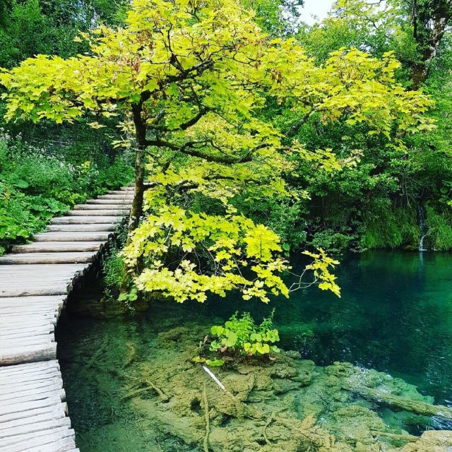 Half Day Tour Around Plitvice Lakes - Park Rules and Regulations