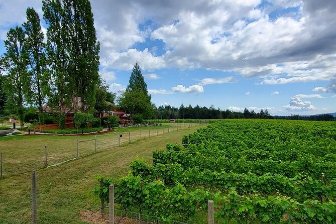 Half-Day Victoria to Cowichan Valley Wine Tour With Tastings - Booking Details and Additional Information