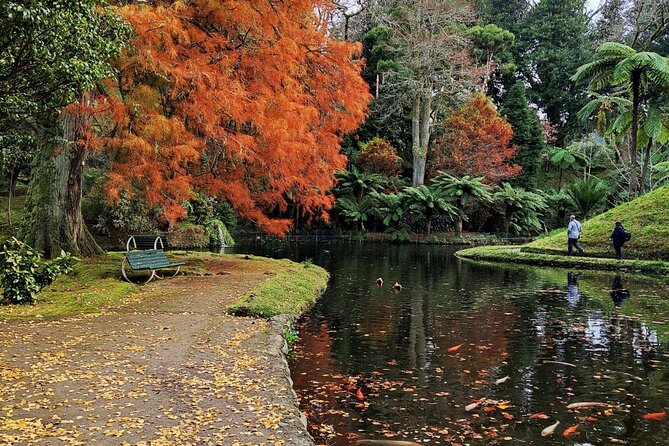 Half Day Volcano of Fogo and Furnas Private Tour - Contact and Support