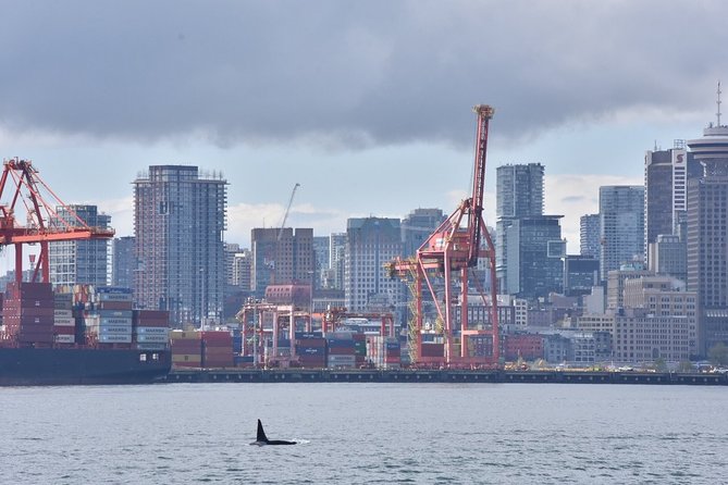 Half-Day Whale Watching Adventure From Vancouver - Environmental Focus