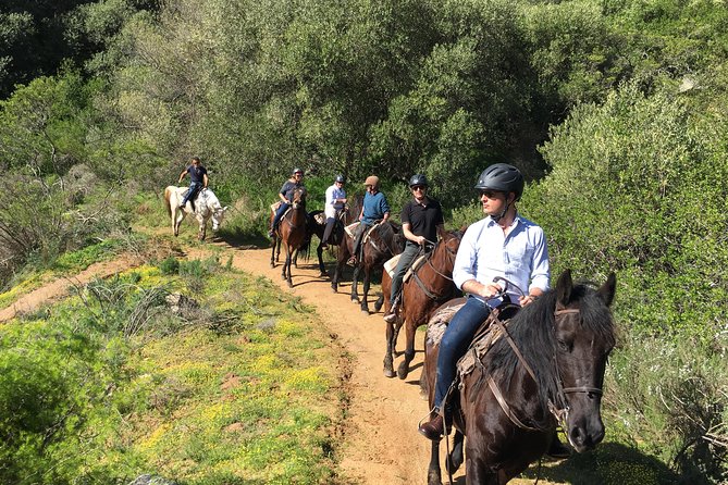 Half Day – Wine Tasting Horse Trail - Common questions