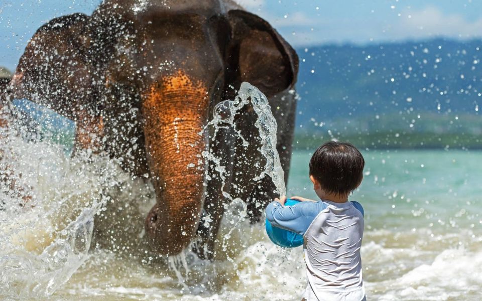 Halfday Program With Elephant on the Beach (3.30hours) - Additional Information