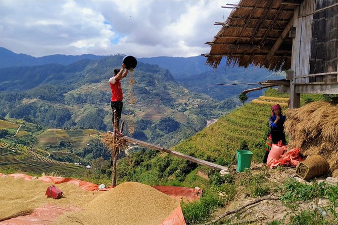 Halfday Trekking Mu Cang Chai - Common questions