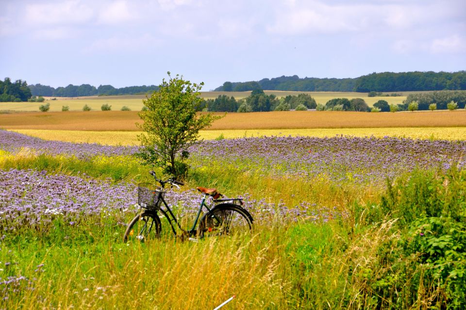 Hällåkra: Cycling or Hiking With Wine Tasting - Additional Details