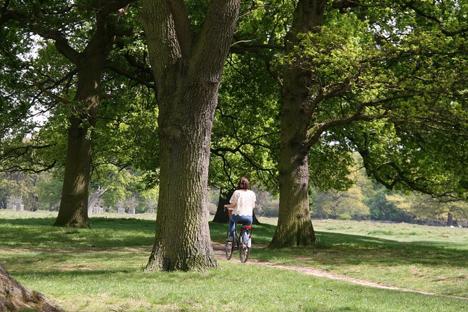 Hampton Court Palace Grounds Bike Tour - Directions
