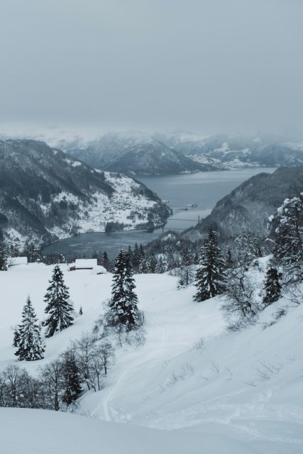 Hardangerfjord: Exclusive Snowshoe Hike With Majestic Views - Additional Services Available