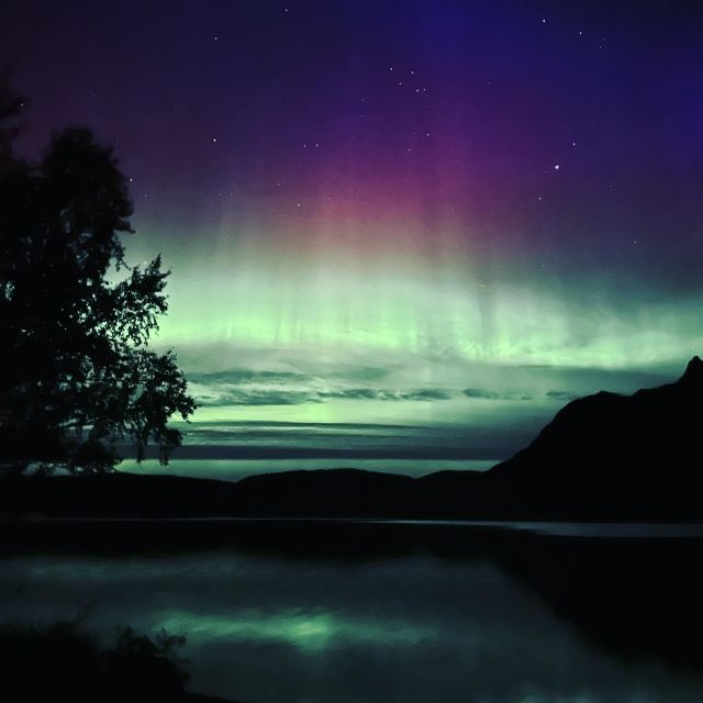 Harstad/Narvik/Tjeldsund: Northern Lights Sightseeing by Car - Inclusions and Amenities