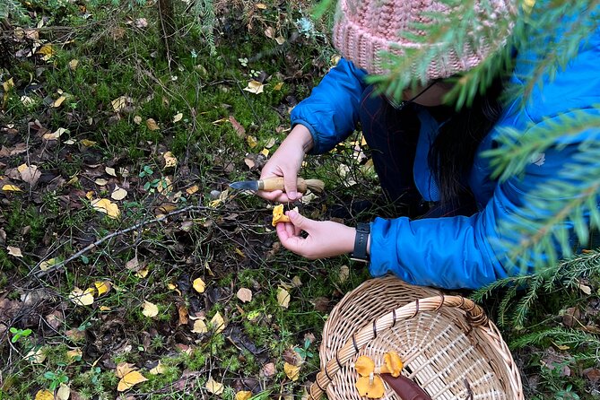 Helsinki Small-Group Mushroom-Hunting Experience - Additional Resources