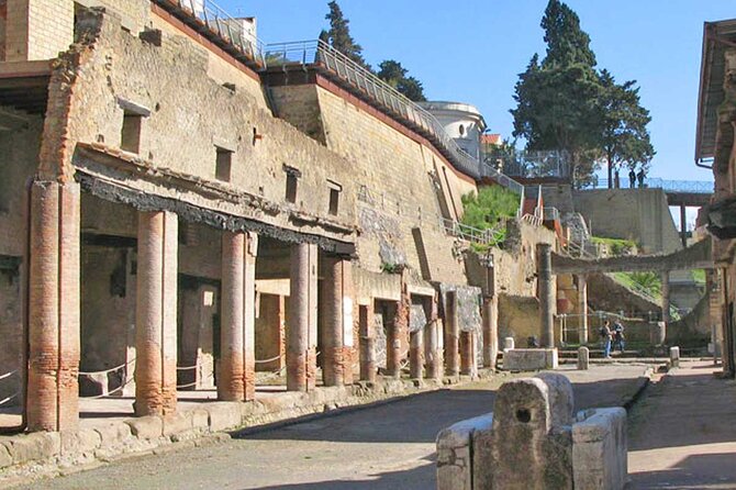 Herculaneum and Pompeii With Guide - Customer Support