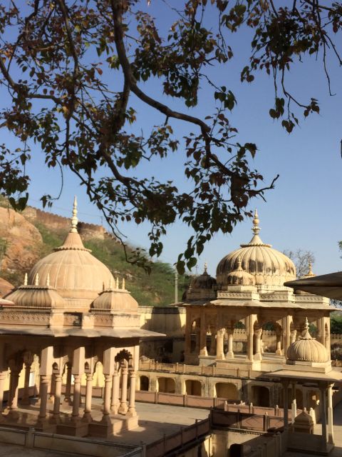 Highlight Tour of Jaipur With Private Guide - Booking Information for Jaipur Tour