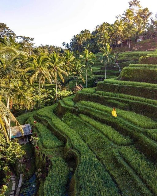 Highlights Besakih Temple, Waterfall, Swing and Rice Terrace - Swing & Rural Rice Fields Experience