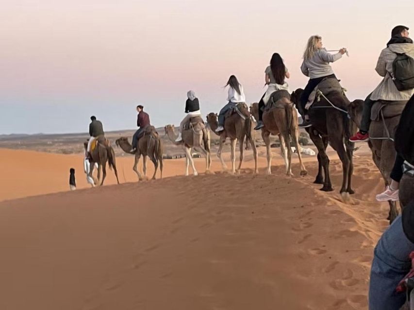 Highlights Tour With Lunch & Camel Ride in Atlas Mountains - Directions
