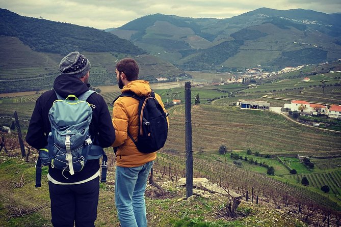 HIKE at DOURO VALLEY W/ Winery Visit and Tasting - Common questions
