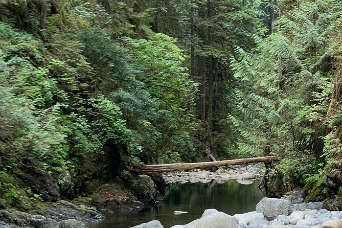 Hike Lynn Canyon and Bike Seymour Demonstration Forest - Mountain Biking Trails