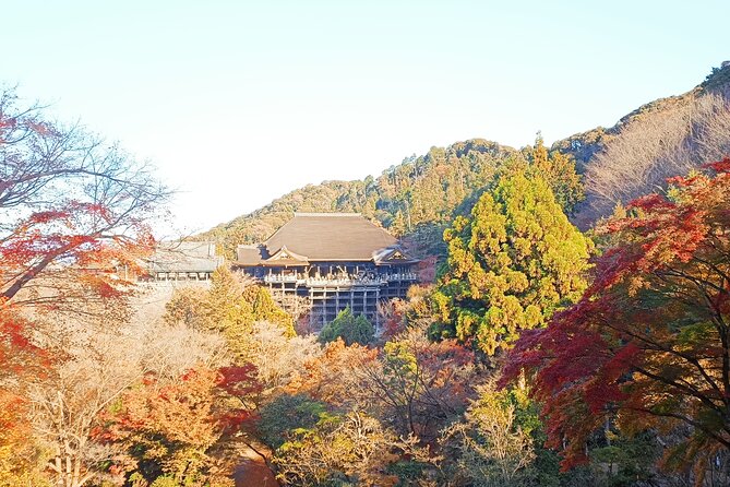 Hike Through Kyotos Best Tourist Spots - Nature Walks in Kyoto